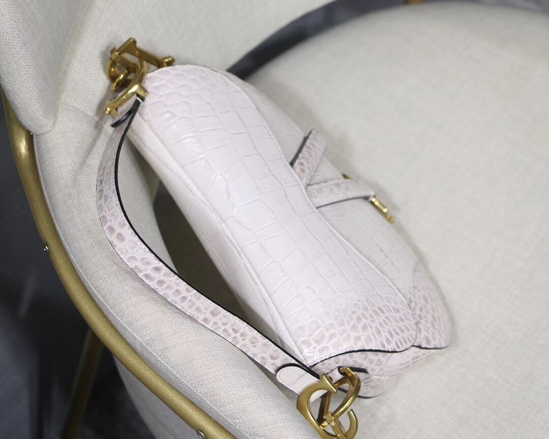 Dior SADDLE SOFT CALFSKIN BAG C9045 white