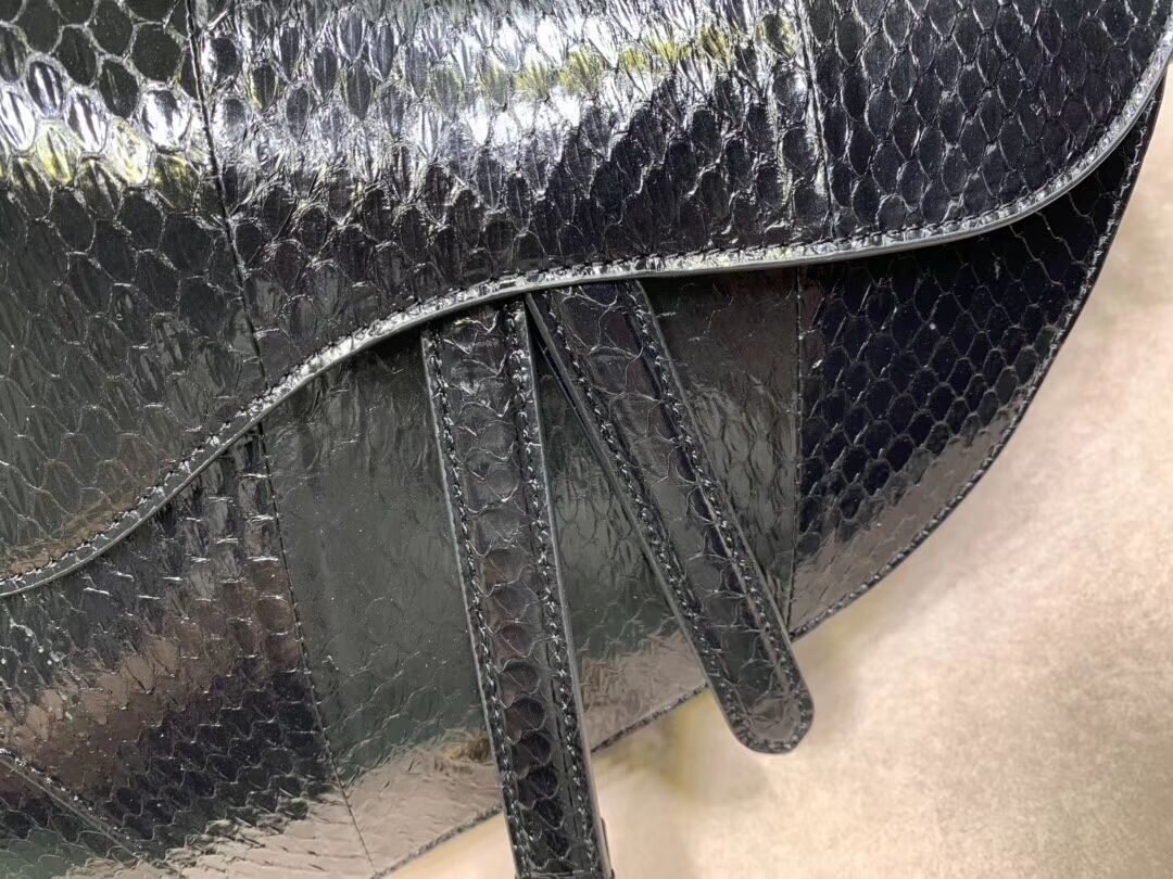 Dior SADDLE Snake skin tote C9046 black