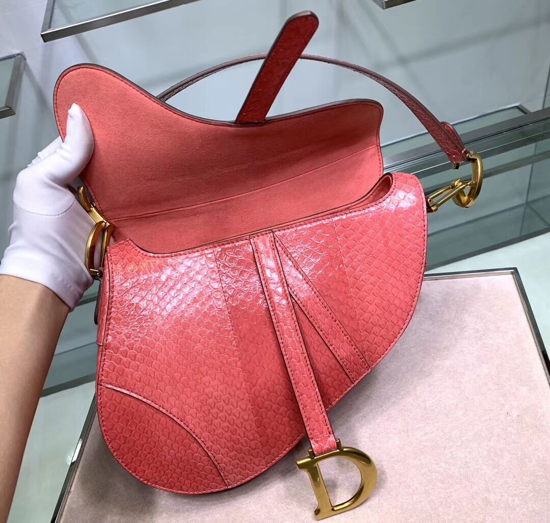 Dior SADDLE Snake skin tote C9046 pink