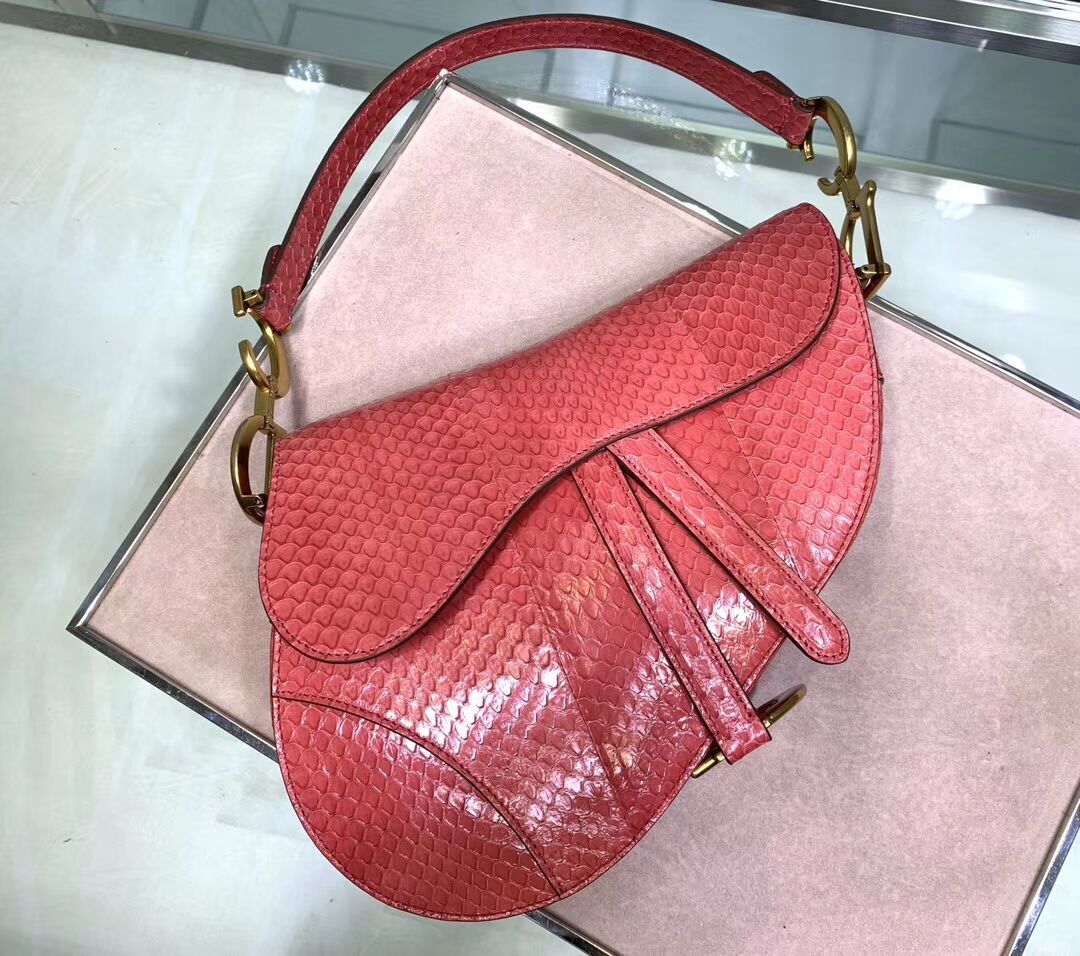 Dior SADDLE Snake skin tote C9046 pink