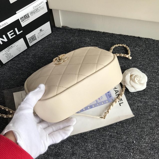 Chanel Original Calfskin Leather Camera Case AS0137 White