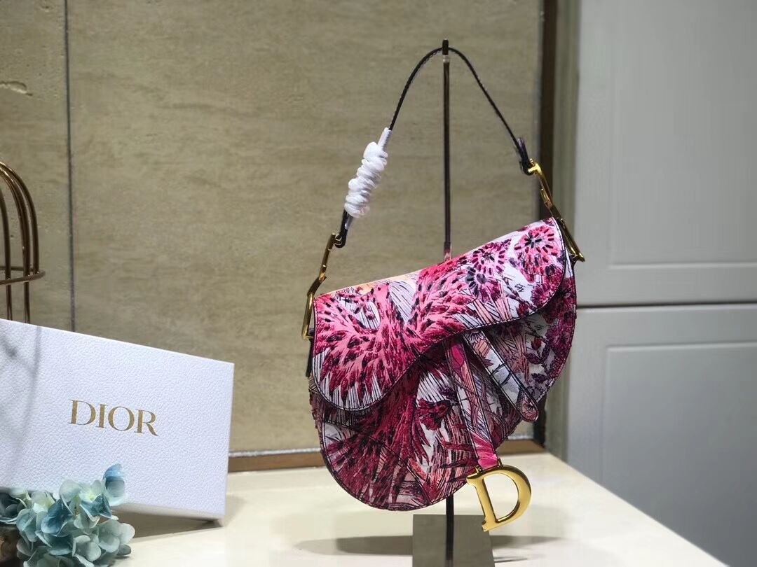 Dior GEBORDUURDE SADDLE-TAS AD0158 Phoenix