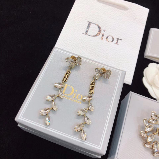 Dior Earrings CE4782