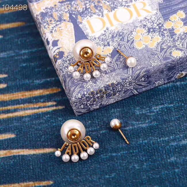 Dior Earrings CE4784