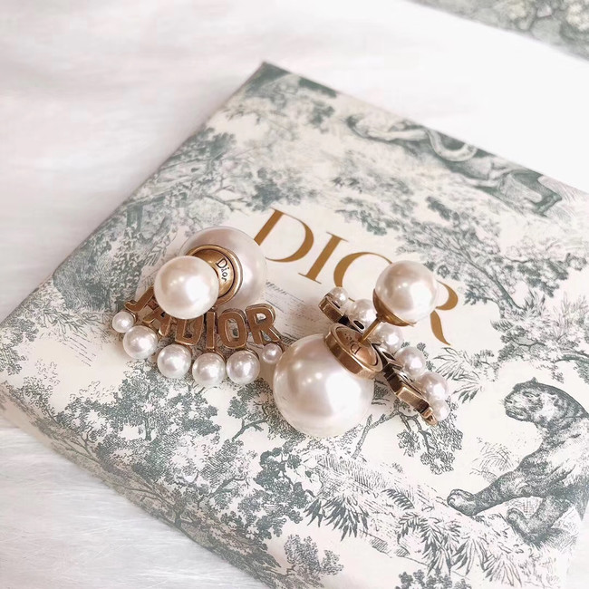 Dior Earrings CE4786