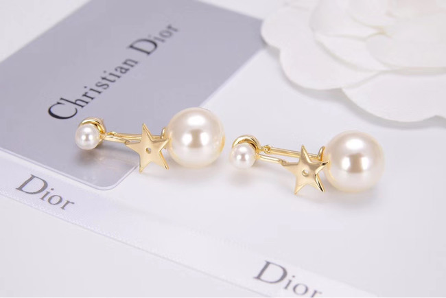 Dior Earrings CE4788