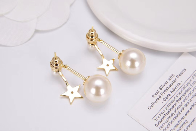 Dior Earrings CE4788