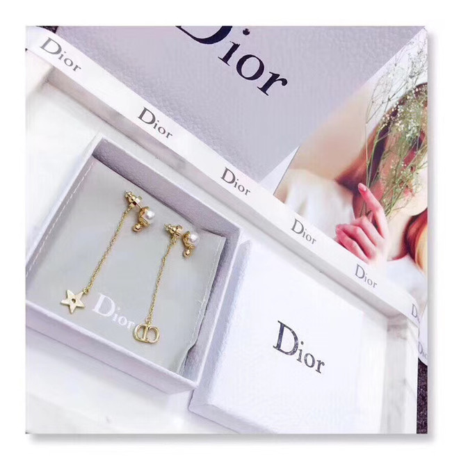 Dior Earrings CE4801