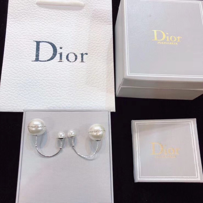 Dior Earrings CE4802