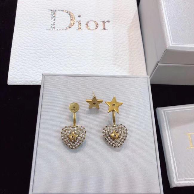 Dior Earrings CE4804