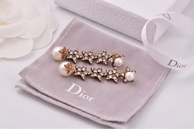 Dior Earrings CE4806