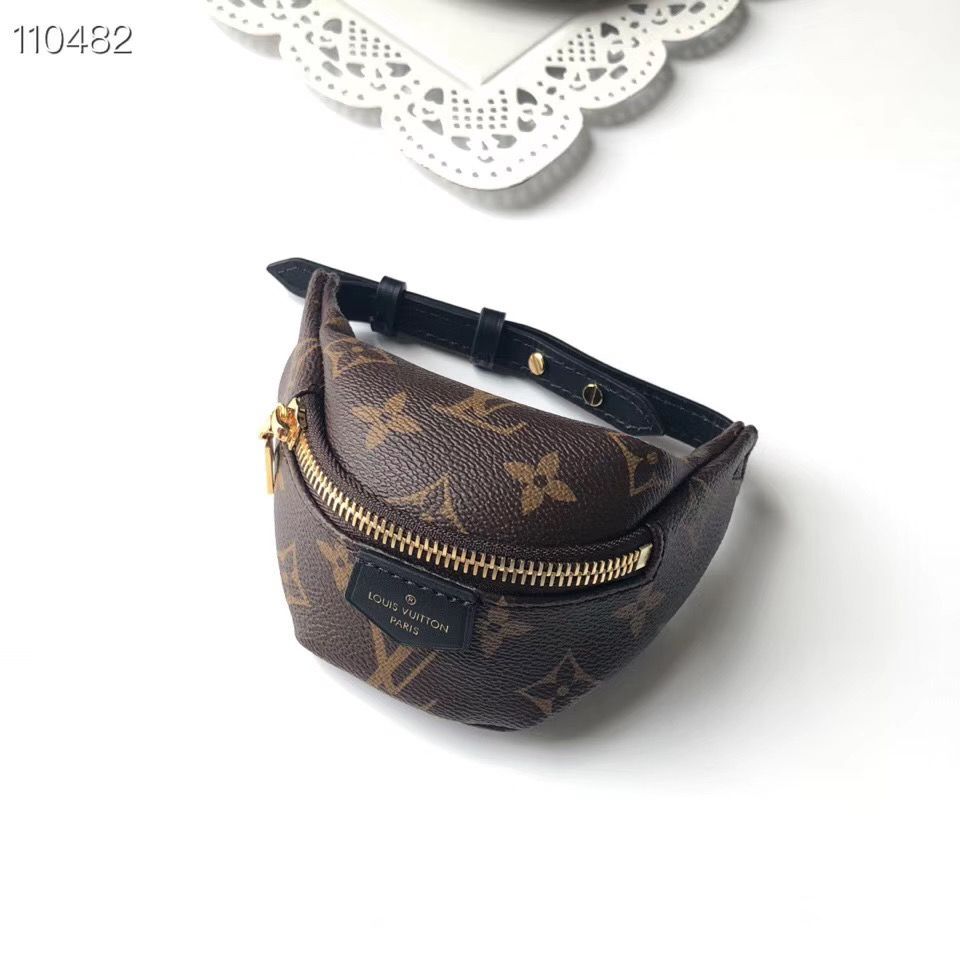 Louis Vuitton Monogram Canvas Mini Bag M43648