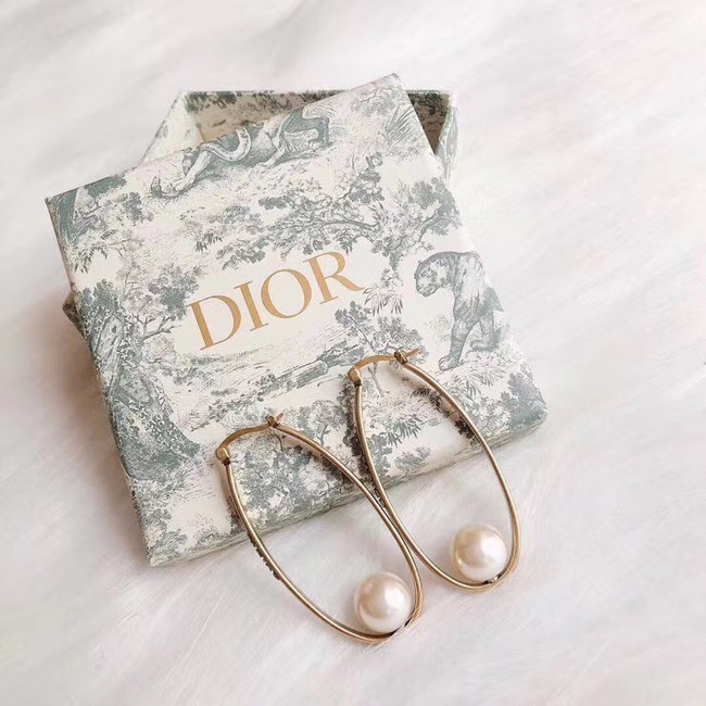 Dior Earrings CE4900