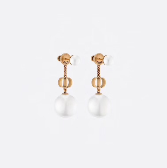 Dior Earrings CE4888