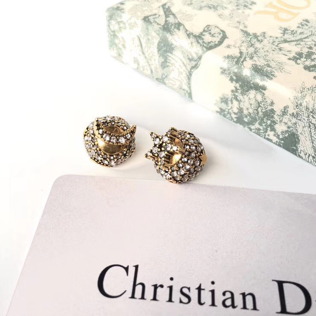 Dior Earrings CE4889