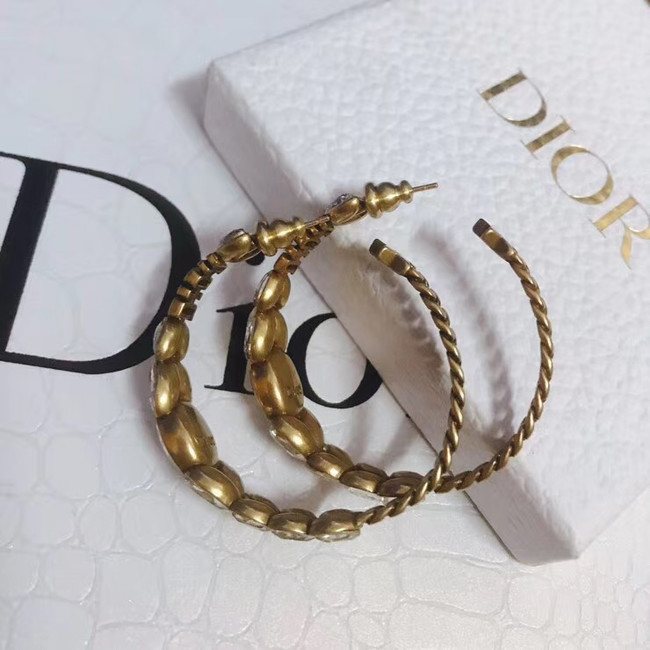 Dior Earrings CE4892