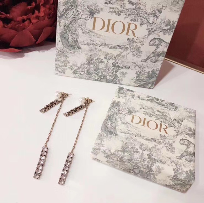 Dior Earrings CE4897