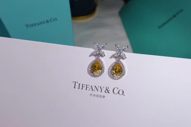 TIFFANY Earrings CE4911