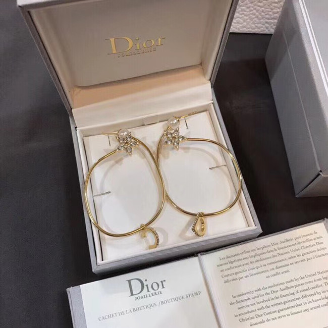 Dior Earrings CE5012