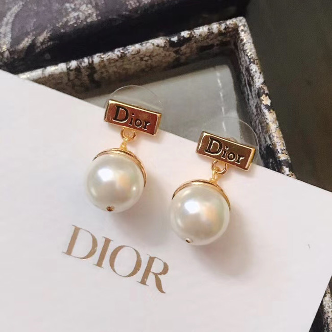 Dior Earrings CE5018