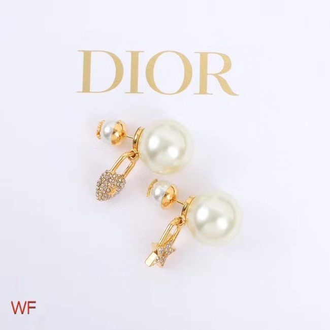 Dior Earrings CE5023