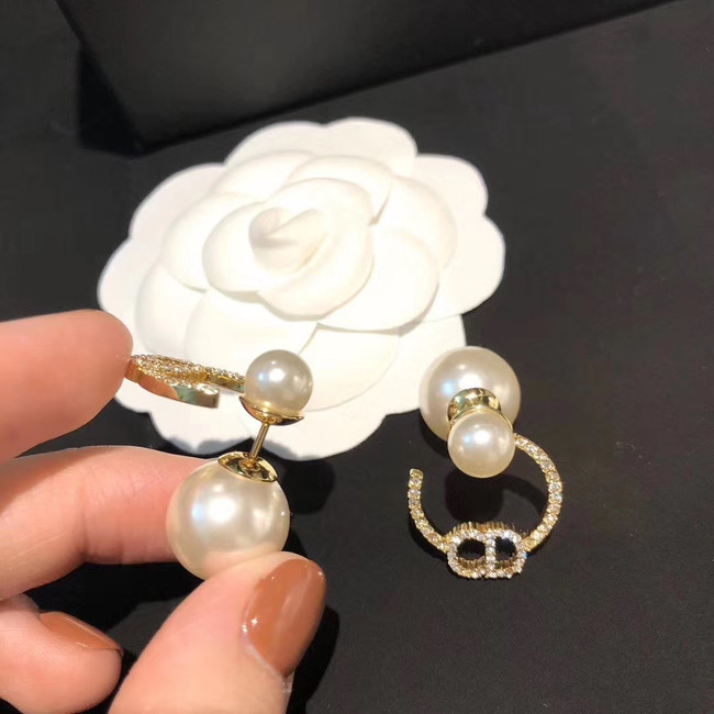 Dior Earrings CE5025