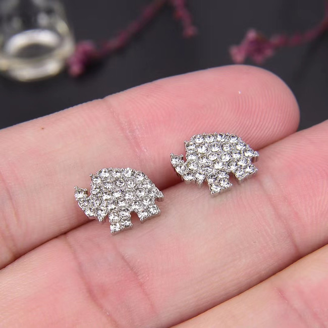 Dior Earrings CE5030