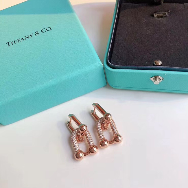 TIFFANY Earrings CE5060