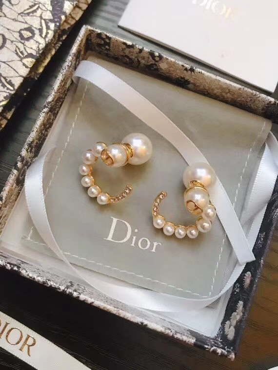 Dior Earrings CE5070