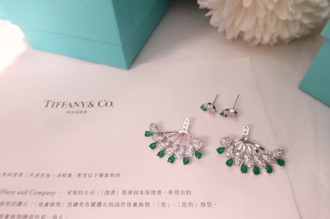 TIFFANY Earrings CE5084