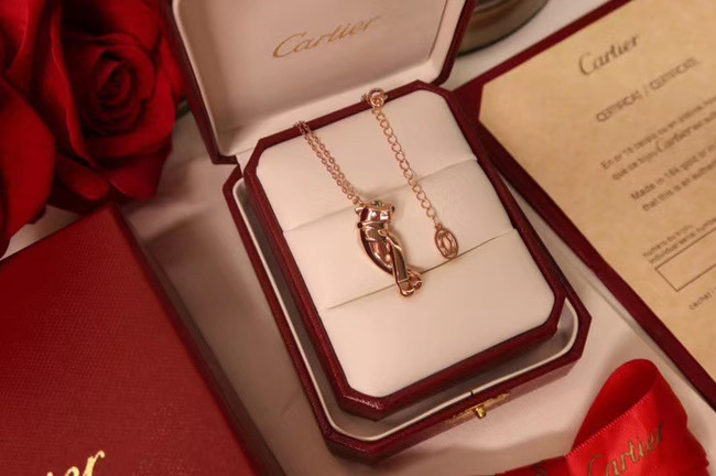 Cartier Necklace CE5142