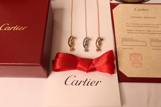 Cartier Necklace CE5142