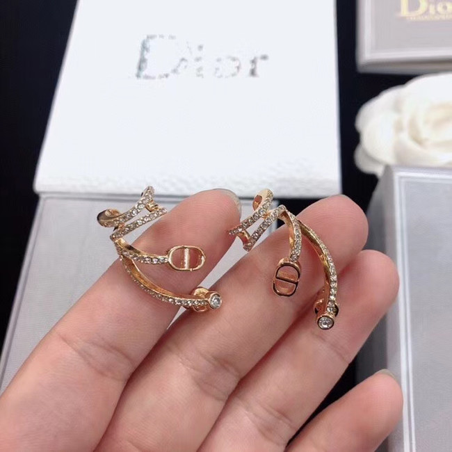 Dior Earrings CE5133