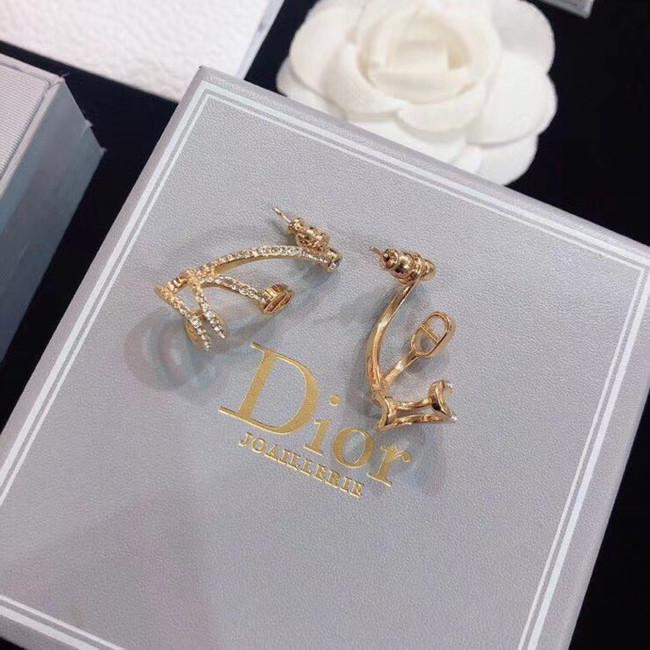 Dior Earrings CE5133