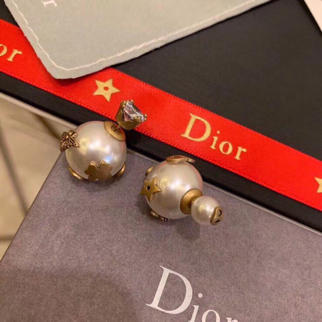 Dior Earrings CE5134