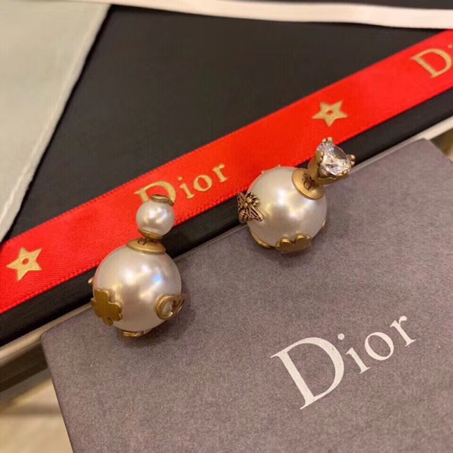 Dior Earrings CE5134