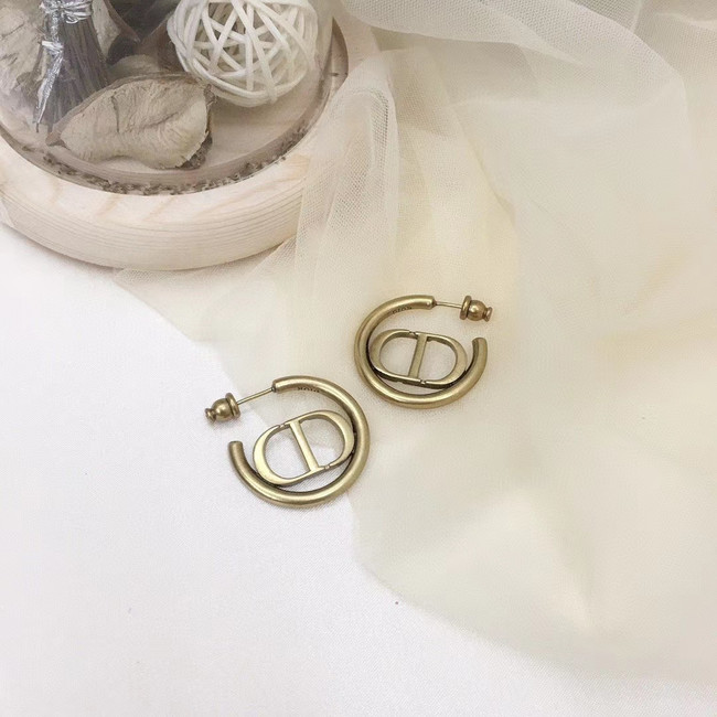 Dior Earrings CE5147