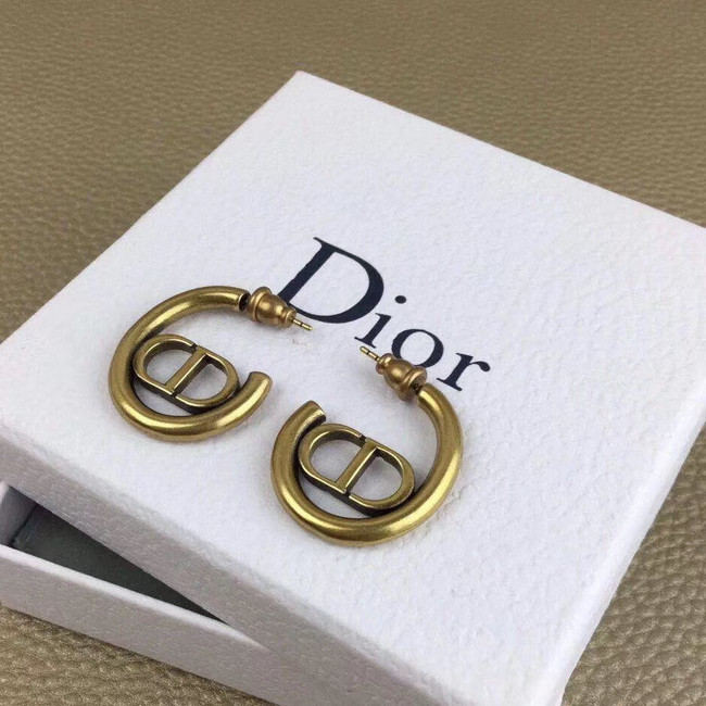 Dior Earrings CE5147