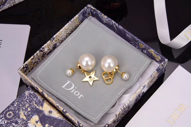 Dior Earrings CE5153