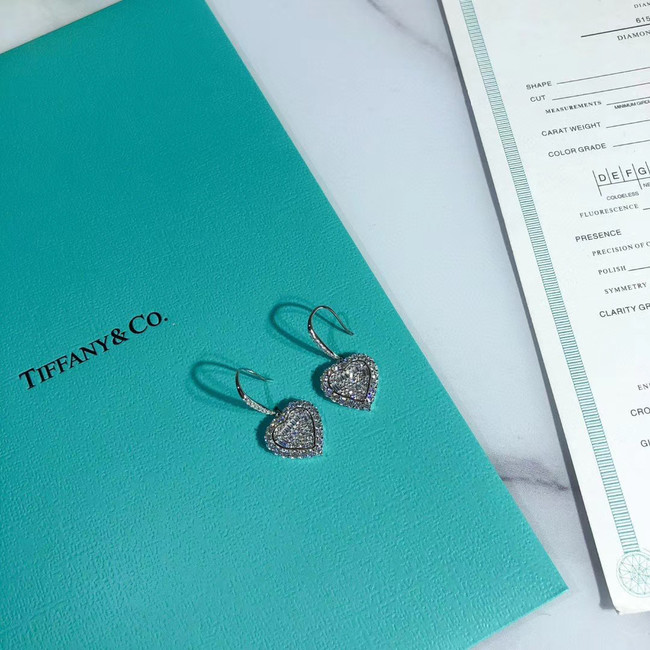 TIFFANY Earrings CE5150