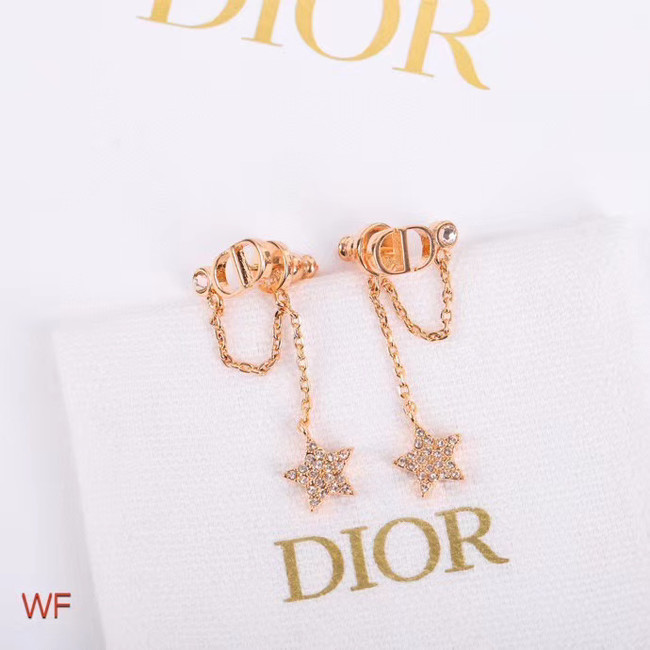 Dior Earrings CE5155