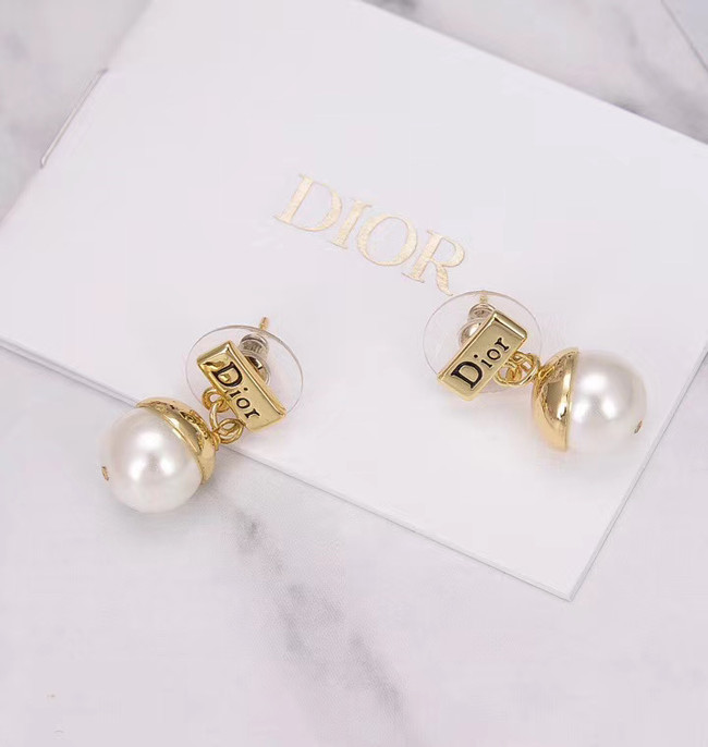 Dior Earrings CE5159