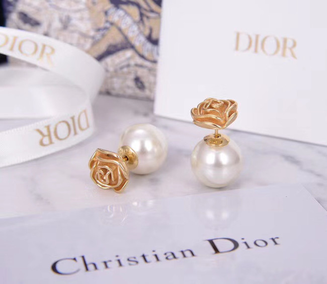 Dior Earrings CE5182