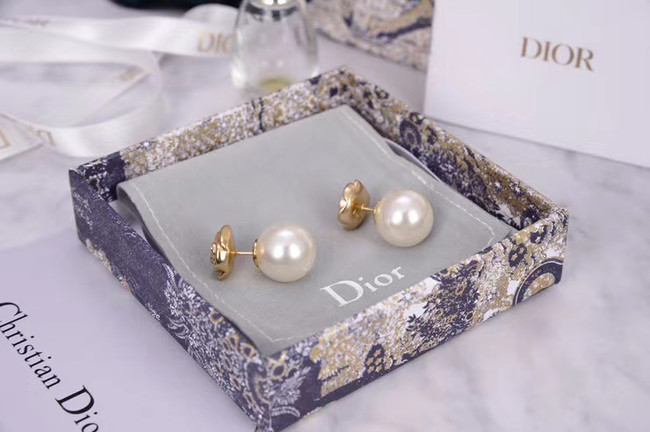 Dior Earrings CE5182