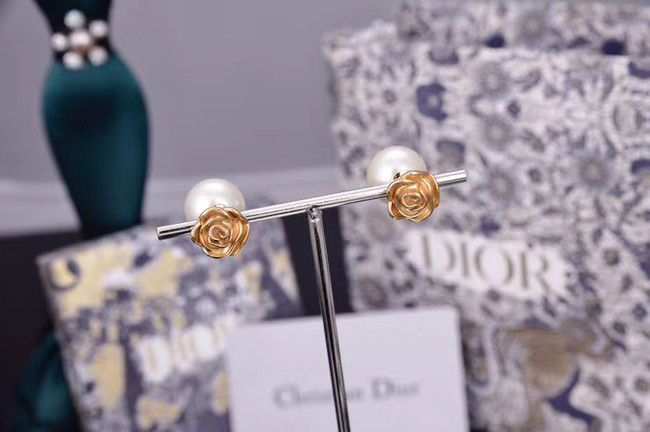 Dior Earrings CE5182