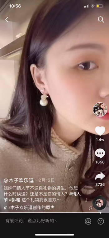 Dior Earrings CE5200