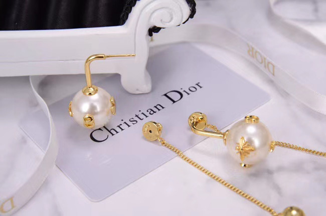 Dior Earrings CE5224