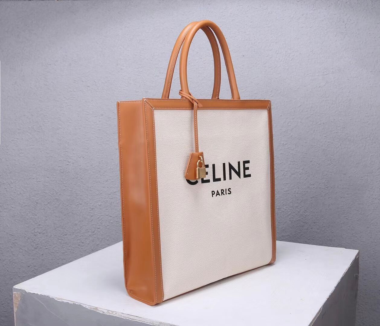 Celine TEEN TRIOMPHE BAG IN TRIOMPHE CANVAS AND CALFSKIN CL90402 white