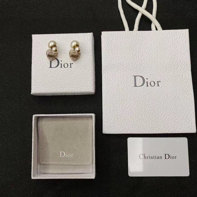 Dior Earrings CE5363