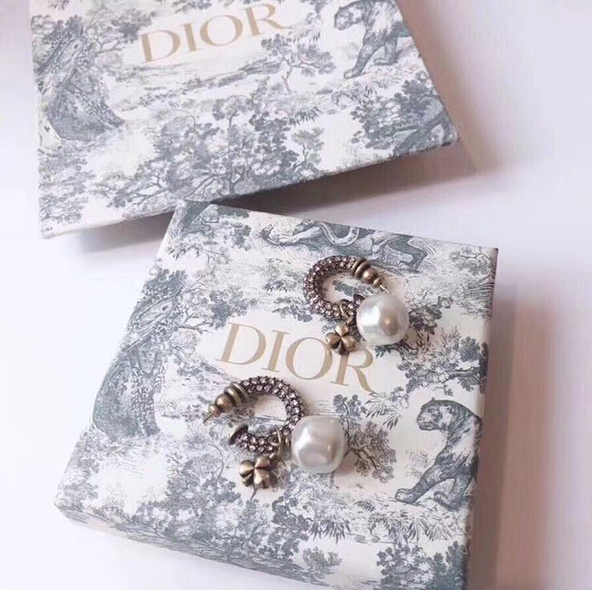 Dior Earrings CE5363